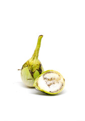 Thai eggplant, the main Thai food ingredient in white background