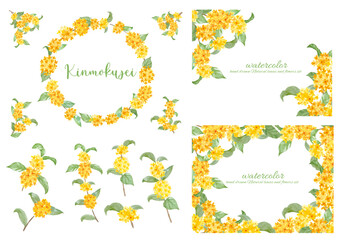 水彩で描いたキンモクセイのフレームセット