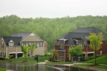 house in the woods