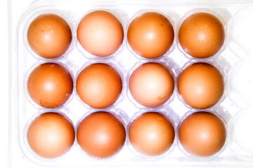 The row of breed chicken eggs