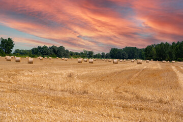 Fototapeta premium Sunset sky over a field of harvested wheat in bright colors