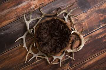 Deer Antler Flat Lay Newborn Digital Background