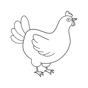 Cute line chicken. Vector outline illustration isolated on white background. Farm animal hen