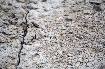 Trench in soil from knife injecting manure fertilizer in the fall. 