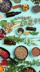 Alternative herbal medicine on green background.
