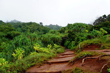Tropical path island