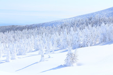 Biome, Snow, Slope