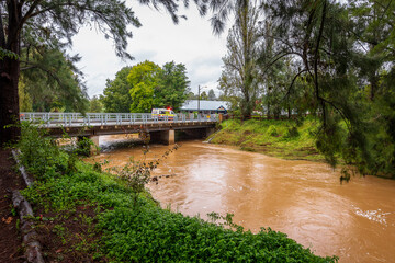Fototapeta premium Picton township CBD rising flood water