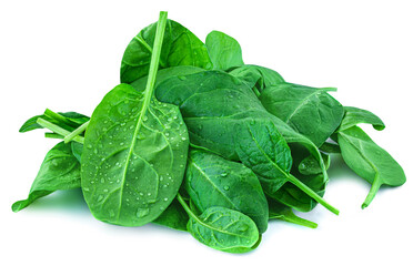 Spinach leaves isolated on white background. Fresh baby Spinatch with water drops close up