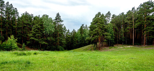 panoramic view of a large forest clearing © petrovval