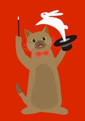 マジシャン　帽子からウサギを出すマジックを披露する茶色猫
