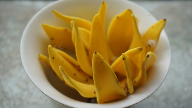 ylang-ylang flower