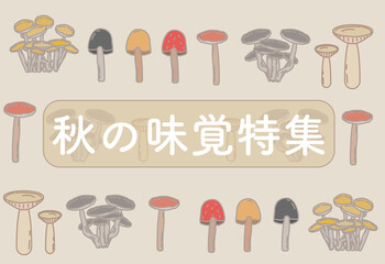 きのこ　秋の味覚　マッシュルーム　茸　キノコセット 椎茸　松茸　山菜　山の幸　秋 カード