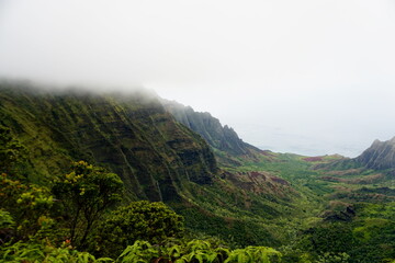 Napali coast view from Waimea Valley Kauai Hawaii