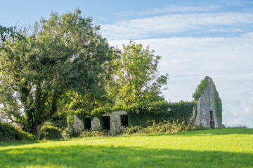 Farmhouse Ruin in Ireland