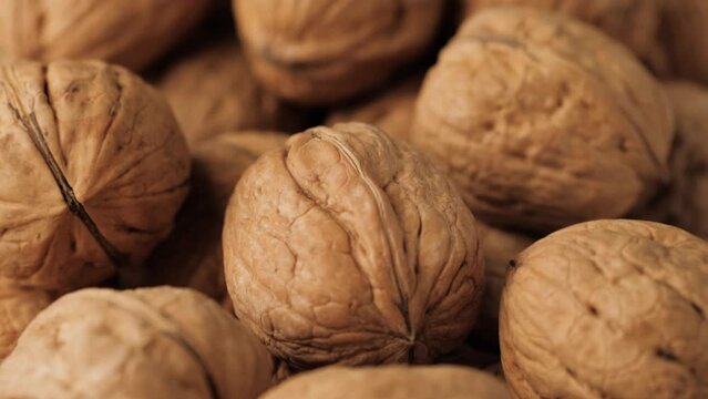 Walnuts. Camera slowly moves up to show close-up of beautiful walnuts