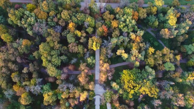 Park of the National Technical University of Ukraine. Kyiv Polytechnic Institute.