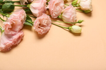 Beautiful pink flowers on beige background