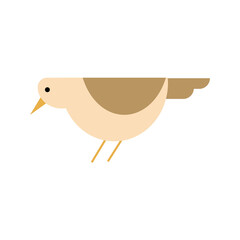 bird flat design illustration