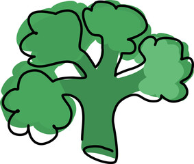 Cauliflower set. Curly cabbage set.. Fresh organic and healthy, diet and vegetarian food. Vector illustration.