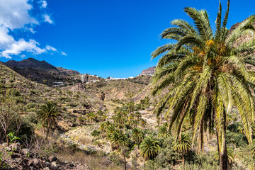 Fototapeta na wymiar Mountain range near Cruz Grande and San Bartolome de Tirajana in Gran Canaria, Spain.