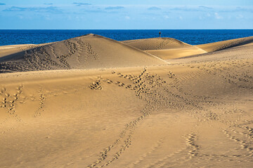 Maspalomas Sand Dunes on the south coast of the island of Gran Canaria, Canary Islands, Spain