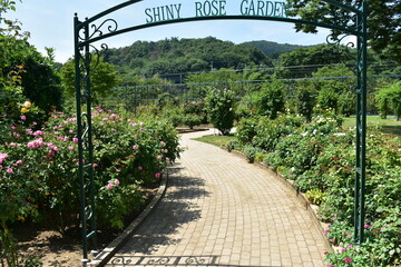 栃木県の名所　足利フラワーパーク　夏の風景