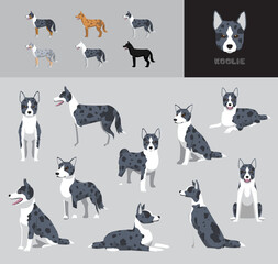 Dog Koolie Cartoon Vector Illustration Color Variation Set
