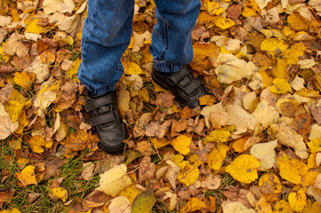 the legs of a child in black shoes and jeans on autumn yellow foliage