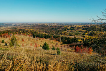 Aerial view of colorful forest in autumn.