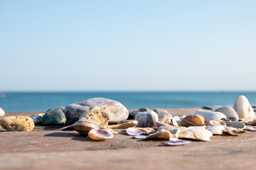 Fototapeta na wymiar A seashell on the beach. A seashell and a sandy beach on a blurred background of the sea. Conch shell on beach with waves.