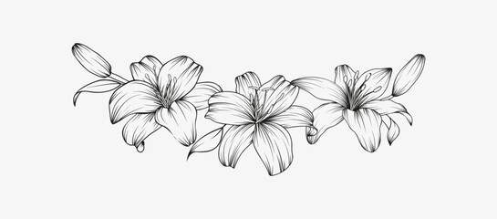 Hand drawn black lily flower semicircle wreath composition in cute doodle style. Luxury elegant sketch vector illustration for postcard, wedding invitations, thank you card, birthday, logo, cosmetics.