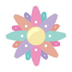 colored mandala decoration