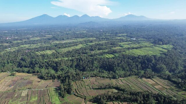 Rural landscape of central Bali, aerial view, harvested rice fields seen at bottom. Forested ravines stretching across, green stripes of cultivated land seen ahead. Mountains ridge silhouetted afar
