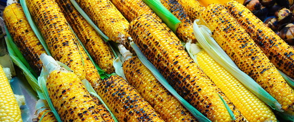 Baked Corn. Close Up View. Summer Food Conception. Wide photo