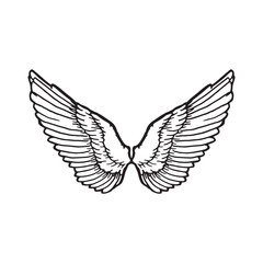 Naklejka na ściany i meble Sketch Wings Pair Hand Drawn Angel Vector