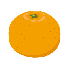 みかんのイラスト