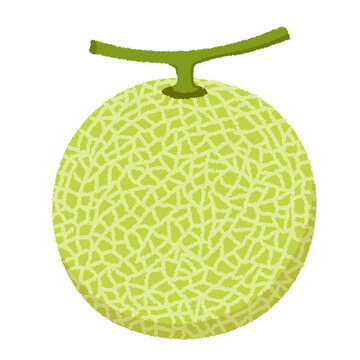 メロンのイラスト の画像 5 199 件の Stock 写真 ベクターおよびビデオ Adobe Stock