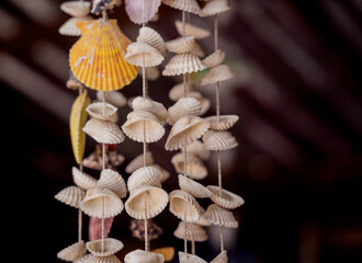Wall decorated with scallop shells in a row