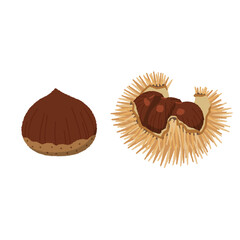 栗のイラスト