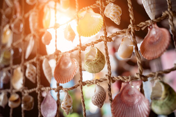 Wall decorated with scallop shells in a row