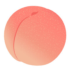 桃のイラスト