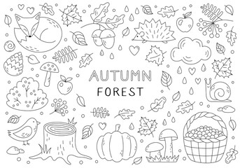 Autumn Forest Vector Doodle Set. Sketch with fox, bird, hedgehog, mushrooms, berries, acorn, forest leaves. Cute Fall Season elements for coloring page. Black outline isolated on a white background.