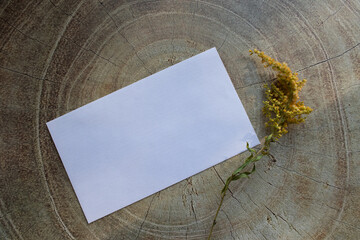 Blank Invitation greeting paper card, booklet branding mockup, leaflet and yellow autumn flower on...