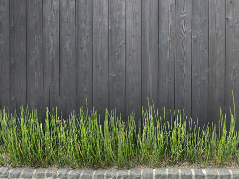 漆黒 の画像 179 710 件の Stock 写真 ベクターおよびビデオ Adobe Stock