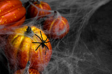 Mystery halloween banner with pumpkins and spider web.