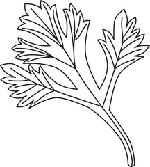 parsley leaf vector icon black and white