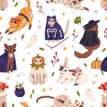 Cute Halloween pattern with funny cats in dracula, vampire costumes. Seamless background with kitty repeating print. Pets Helloween holiday texture design. Colored flat graphic vector illustration