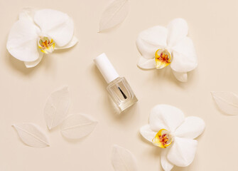 Obraz na płótnie Canvas Glass Bottle with Brush Cap near white orchid flower on light beige. Nail product Mockup