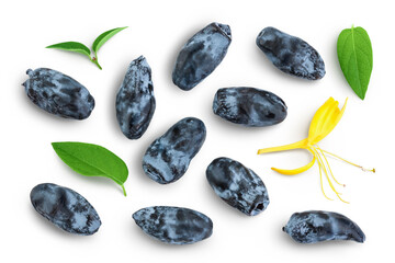 Fresh honeysuckle blue berry isolated on white background with full depth of field. Top view. Flat...